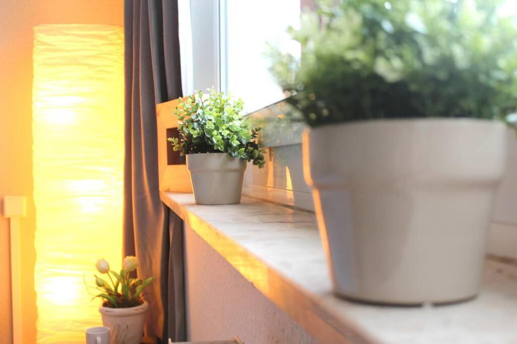 Apartment Bella Хемниц Экстерьер фото